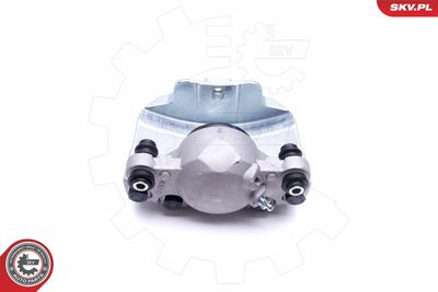 Brake Caliper 46SKV252