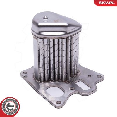 Kühler, Abgasrückführung