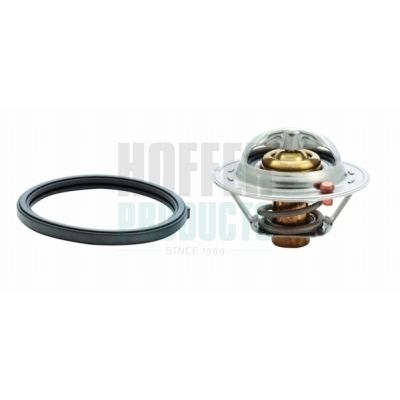 TERMOSTAT LICHID RACIRE