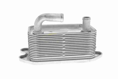 RADIATOR ULEI ULEI MOTOR VEMO V95600011 5