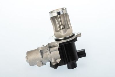 AGR-Ventil BTS Turbo A100102