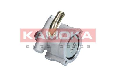 Hydraulic Pump, steering PP002