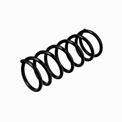 ARC SPIRAL EIBACH R10118 4
