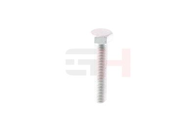 SURUB CAPAT DE AX GH GH392506 44