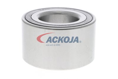 SET RULMENT ROATA ACKOJA A320209 18