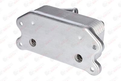 RADIATOR ULEI ULEI MOTOR BIRTH 80289 8