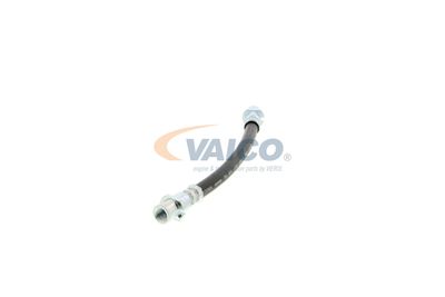 FURTUN FRANA VAICO V404114 26