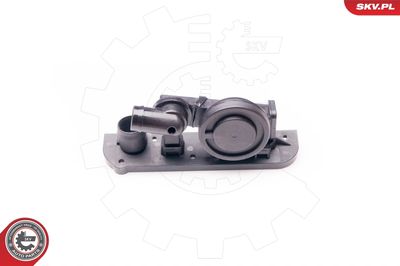 Valve, crankcase ventilation 31SKV002