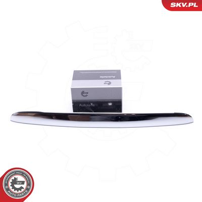 Galinių durų rankenėlė