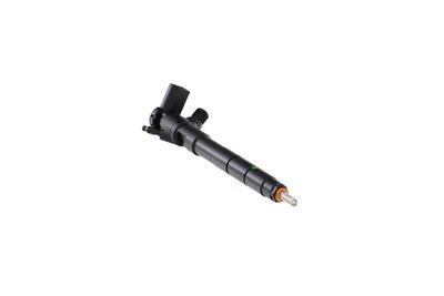 INJECTOR REMANTE 002003001411R 49