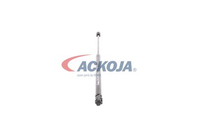 AMORTIZOR PORTBAGAJ ACKOJA A370061 49