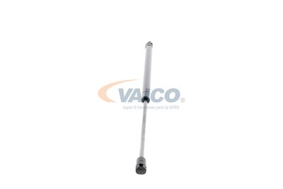 GASFEDER KOFFER-/LADERAUM VAICO V240203 24