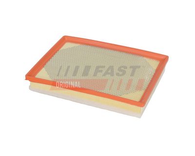 FAST Oro filtras
