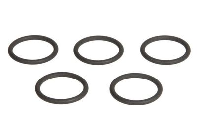 O-ring, instrutning ENGITECH ENT250244