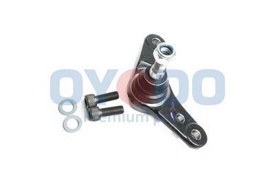 Šarnyras / girgždukas