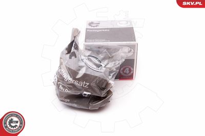 Wheel Bearing Kit 29SKV272