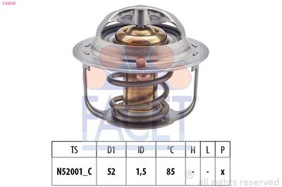 TERMOSTAT LICHID RACIRE