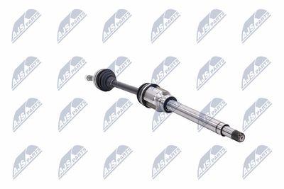 PLANETARA NTY NPWFR063 31