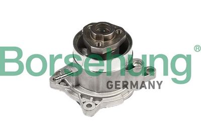 POMPă DE APă RăCIRE MOTOR Borsehung B12672