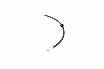 FURTUN FRANA VAICO V201909 3