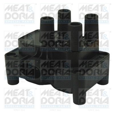 Ignition Coil 10628