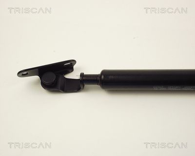 AMORTIZOR PORTBAGAJ KAWE 871013221 1