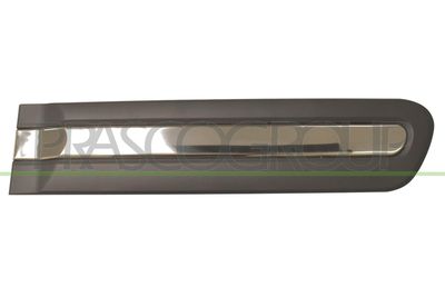 ELEMENTE DECORATIVE/PROTECTIE PORTIERA PRASCO FT0401463