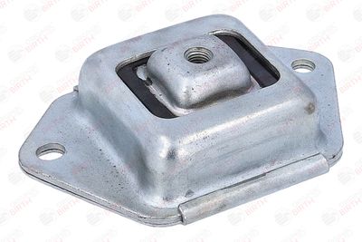 BUCSA PUNTE BIRTH 53920 6