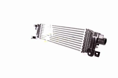 INTERCOOLER COMPRESOR VEMO V25600002 6