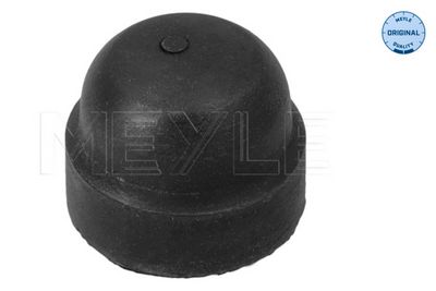 CAPAC REZERVOR LICHID FRANA MEYLE 0140430050