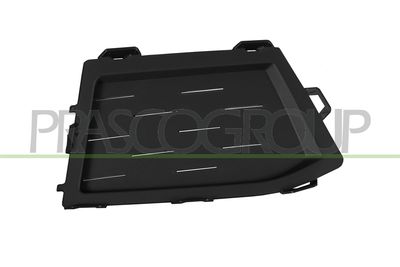 GRILA VENTILATIE BARA PROTECTIE PRASCO BM0552103