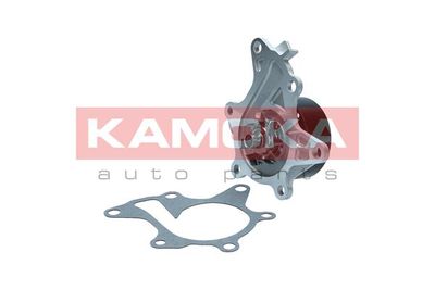 Water Pump, engine cooling T0302