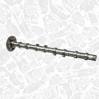 AX CU CAME ET ENGINETEAM HV0384 1