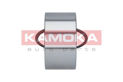 Wheel Bearing Kit 5600089