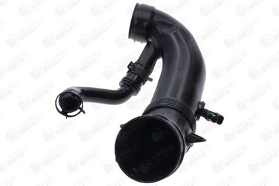 FURTUN EAR SUPRAALIMENTARE BIRTH 55938 12