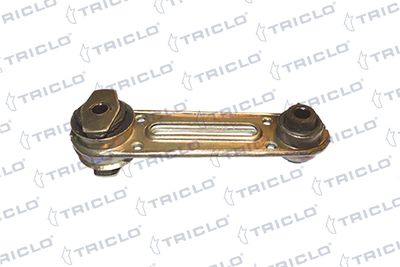 окачване, двигател TRICLO 365478