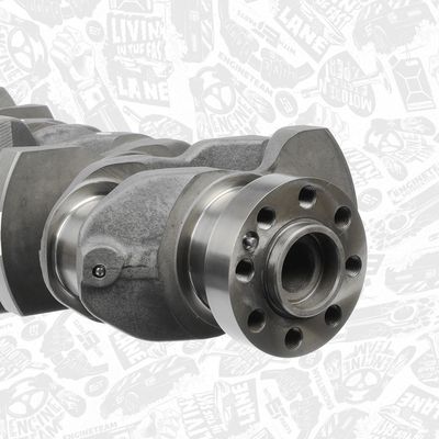 ARBORE COTIT ET ENGINETEAM HK0164 3