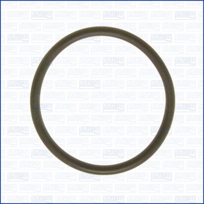 GARNITURA CONDUCTA LICHID DE RACIRE