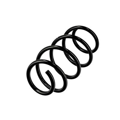 ARC SPIRAL EIBACH R10710 3