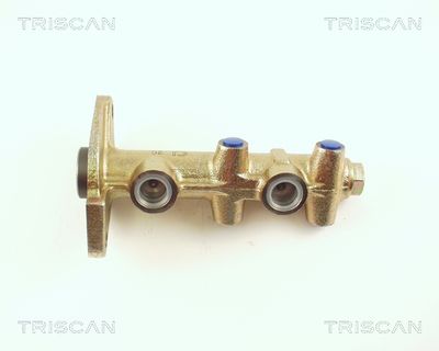 TRISCAN 8130 70101 Ремкомплект главного тормозного цилиндра  для LADA 110 (Лада 110)