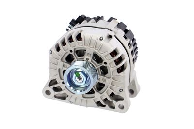 GENERATOR / ALTERNATOR REMANTE 011003000009R 61