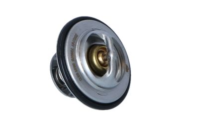 TERMOSTAT LICHID RACIRE NRF 725070 31