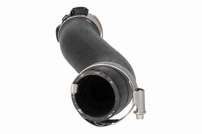 FURTUN EAR SUPRAALIMENTARE ACKOJA A520871 4