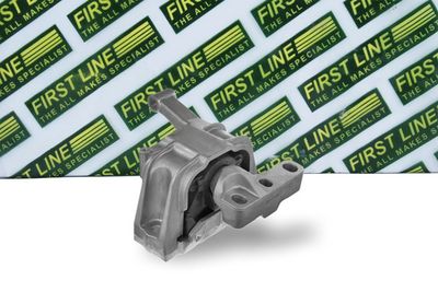 окачване, двигател FIRST LINE FEM4337