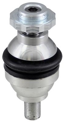 Šarnyras / girgždukas