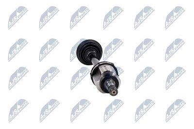 PLANETARA NTY NPWBM206 33