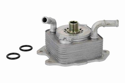 RADIATOR ULEI ULEI MOTOR