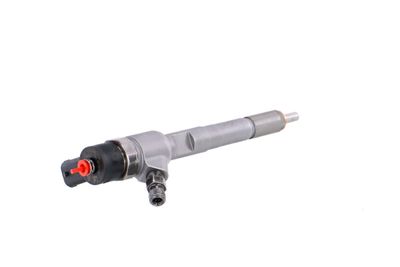 INJECTOR REMANTE 002003001022R 33