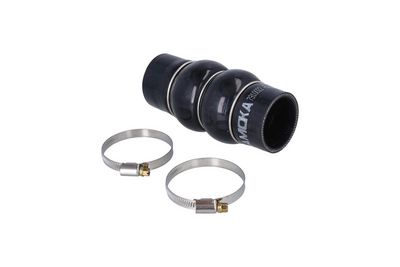 FURTUN EAR SUPRAALIMENTARE