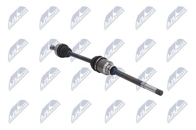 PLANETARA NTY NPWCT009 29